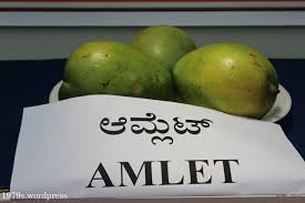 mango varieties in bangalore