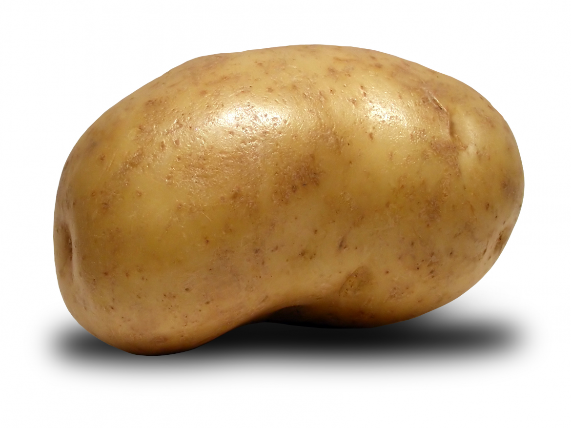 Misconceptions about potatoes & Why they are good for you Cookifi