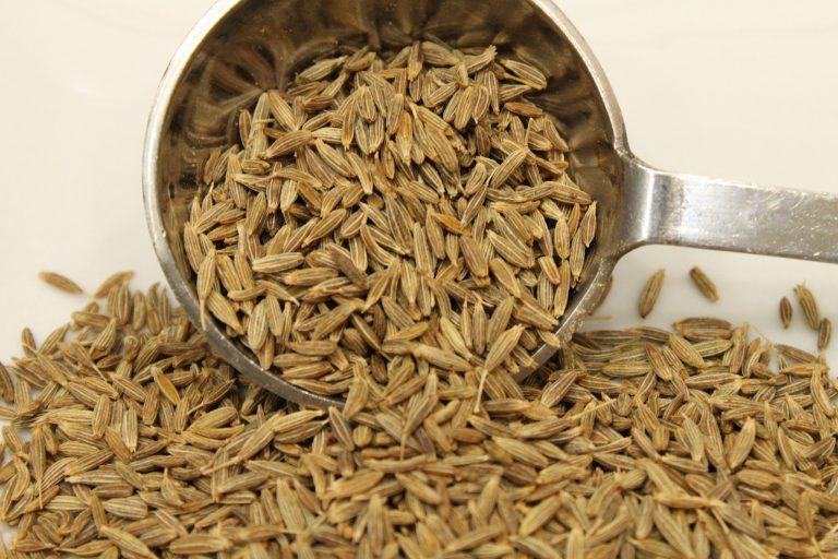 Cumin_Seed Cookifi
